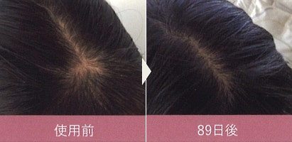 使用例写真